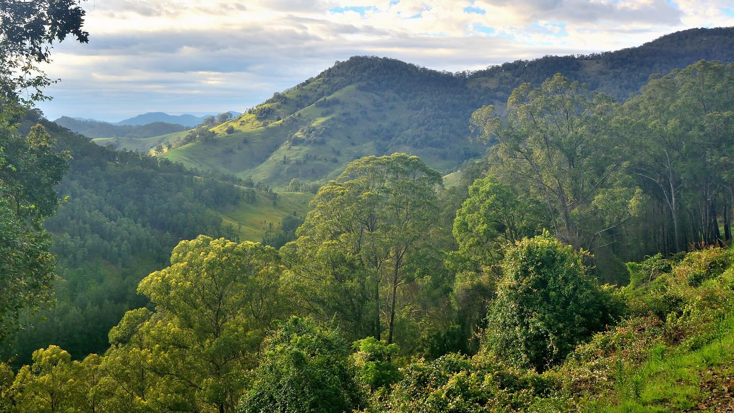 Bewaldete Bergrücken und grüne Täler, von einem Aussichtspunkt im Barrington-Tops-Nationalpark gesehen