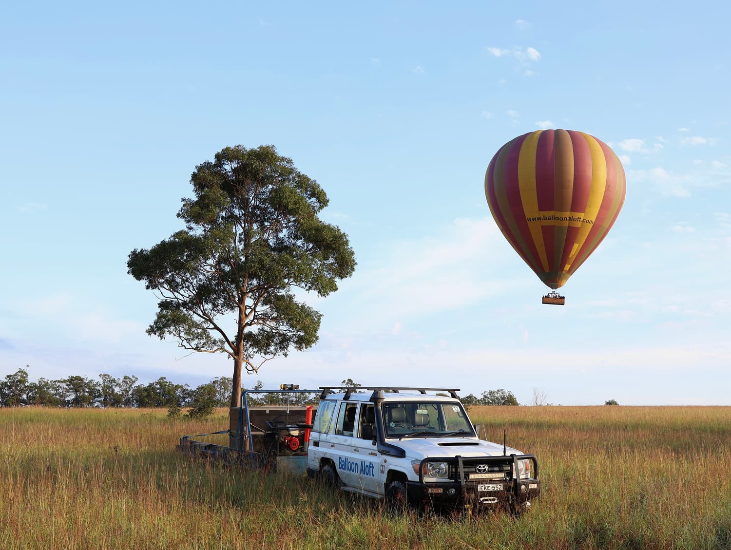 Ein rot-gelber Heißluftballon schwebt über einem Eukalyptusbaum und trockenem Grasland im Hunter Valley
