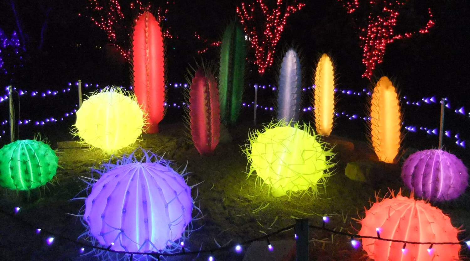 Leuchtende Kaktus-Skulpturen bei der Weihnachtsbeleuchtung in den Hunter Valley Gardens