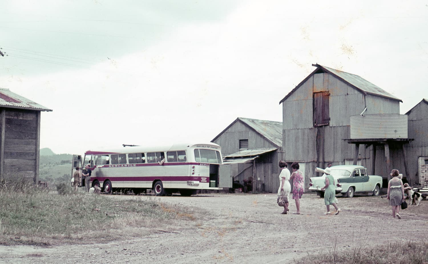 Ein Reisebus und Besucher vor den hölzernen Kellereischuppen von Drayton’s in Pokolbin, 1964