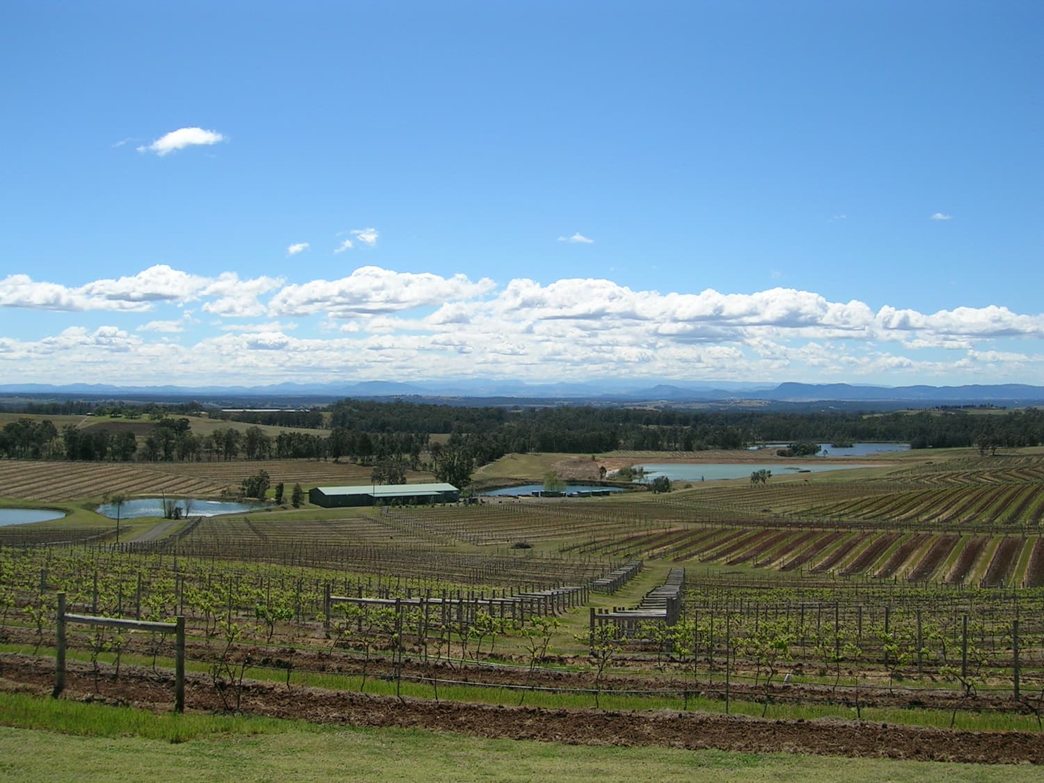 Weinberge, Teiche und Kellereigebäude im Talboden des Hunter Valley